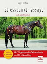 Stresspunktmassage nach Jack Meagher