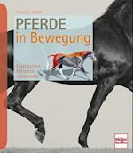 Pferde in Bewegung