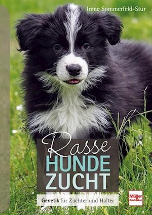 Få Rassehundezucht af Irene Sommerfeld-Stur Hardback bog på tysk