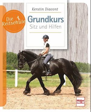 Grundkurs Sitz und Hilfen