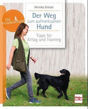 Der Weg zum aufmerksamen Hund