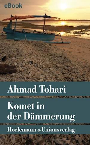 Komet in der Dämmerung