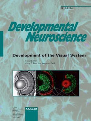 Development of the Visual System