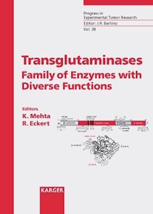 Transglutaminases