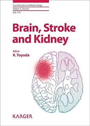 Brain, Stroke and Kidney