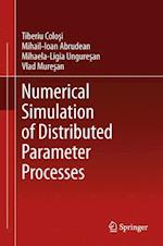 Numerical Simulation of Distributed Parameter Processes