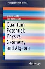 Quantum Potential: Physics, Geometry and Algebra