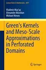 Green's Kernels and Meso-Scale Approximations in Perforated Domains