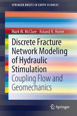 Discrete Fracture Network Modeling of Hydraulic Stimulation