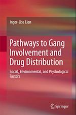 Pathways to Gang Involvement and Drug Distribution