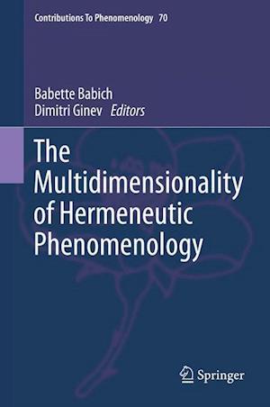 The Multidimensionality of Hermeneutic Phenomenology