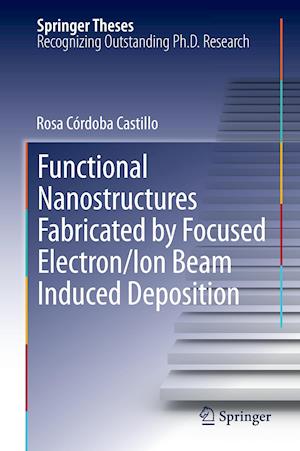 Functional Nanostructures Fabricated by Focused Electron/Ion Beam Induced Deposition