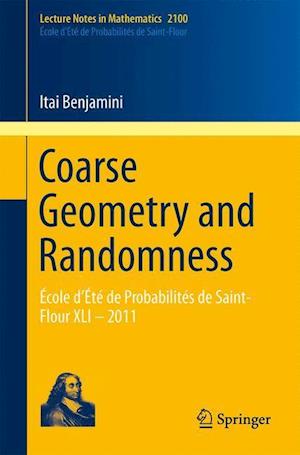 Coarse Geometry and Randomness