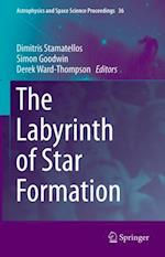 Labyrinth of Star Formation