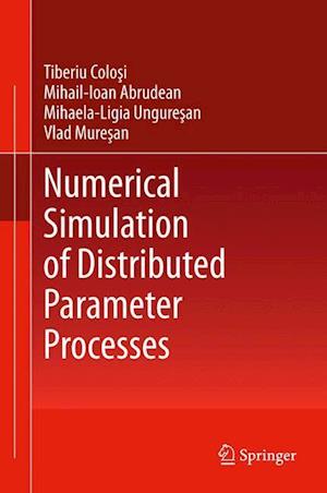 Numerical Simulation of Distributed Parameter Processes