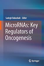 MicroRNAs: Key Regulators of Oncogenesis