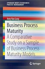 Business Process Maturity