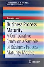 Business Process Maturity
