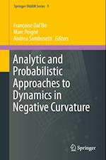 Analytic and Probabilistic Approaches to Dynamics in Negative Curvature