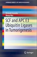 SCF and APC E3 Ubiquitin Ligases in Tumorigenesis