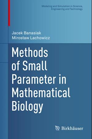 Methods of Small Parameter in Mathematical Biology