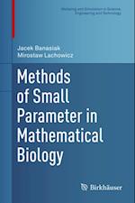 Methods of Small Parameter in Mathematical Biology