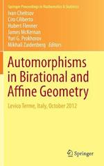 Automorphisms in Birational and Affine Geometry