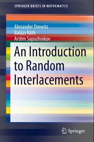 Introduction to Random Interlacements