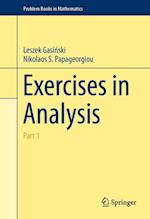 Exercises in Analysis