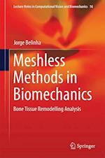 Meshless Methods in Biomechanics