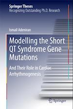 Modelling the Short QT Syndrome Gene Mutations