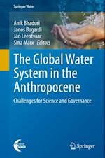 Global Water System in the Anthropocene