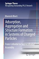 Adsorption, Aggregation and Structure Formation in Systems of Charged Particles