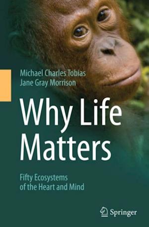 Why Life Matters