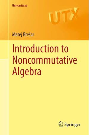 Introduction to Noncommutative Algebra