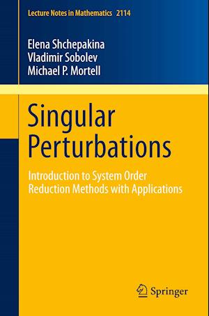 Singular Perturbations