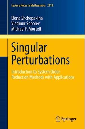 Singular Perturbations