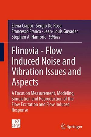 Flinovia - Flow Induced Noise and Vibration Issues and Aspects