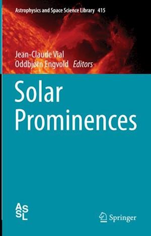 Solar Prominences