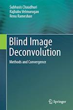 Blind Image Deconvolution