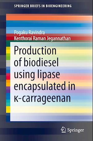 Production of biodiesel using lipase encapsulated in ?-carrageenan