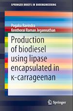 Production of biodiesel using lipase encapsulated in ?-carrageenan