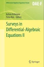 Surveys in Differential-Algebraic Equations II