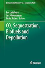 CO2 Sequestration, Biofuels and Depollution