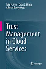 Trust Management in Cloud Services