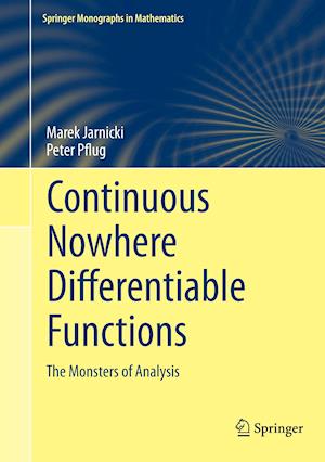 Continuous Nowhere Differentiable Functions