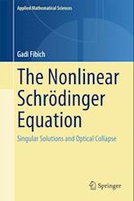 Nonlinear Schrodinger Equation