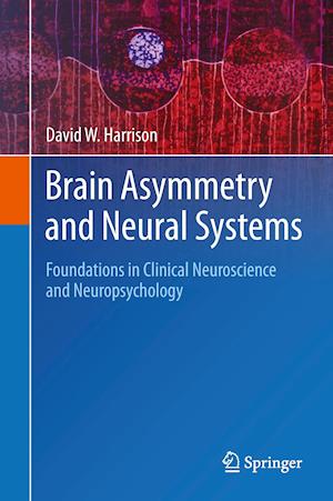 Brain Asymmetry and Neural Systems