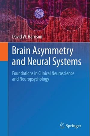 Brain Asymmetry and Neural Systems