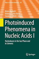 Photoinduced Phenomena in Nucleic Acids I